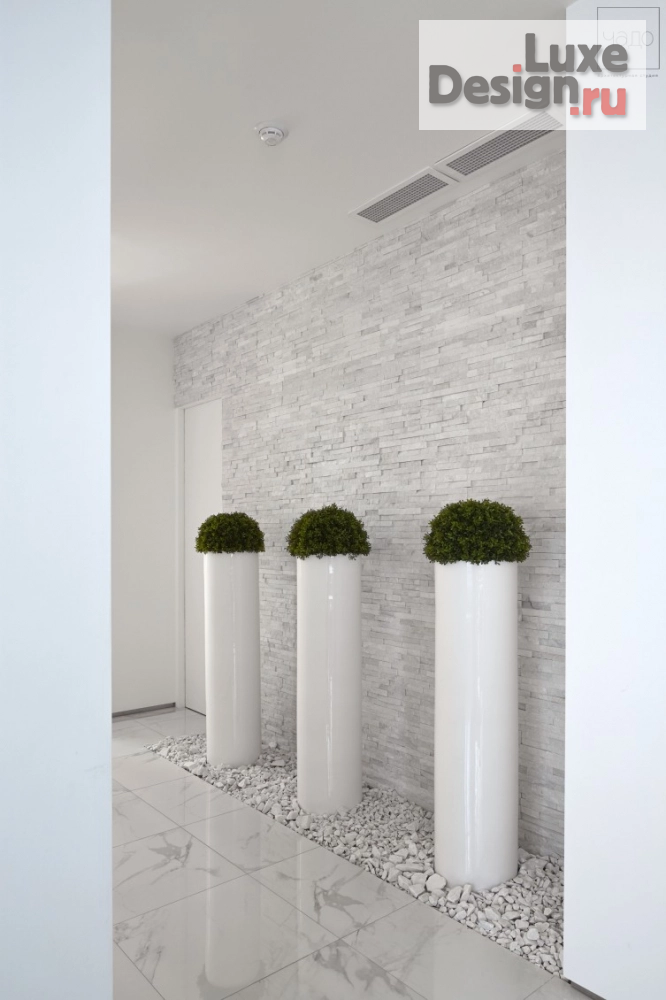 Дизайн интерьера офиса "Интерьер офиса сети химчисток в Москве" (фото 15)